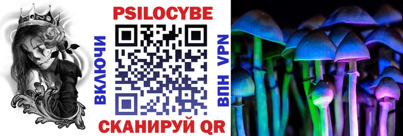 Галлюциногенные грибы Cubensis  цена наркотик  Киренск 